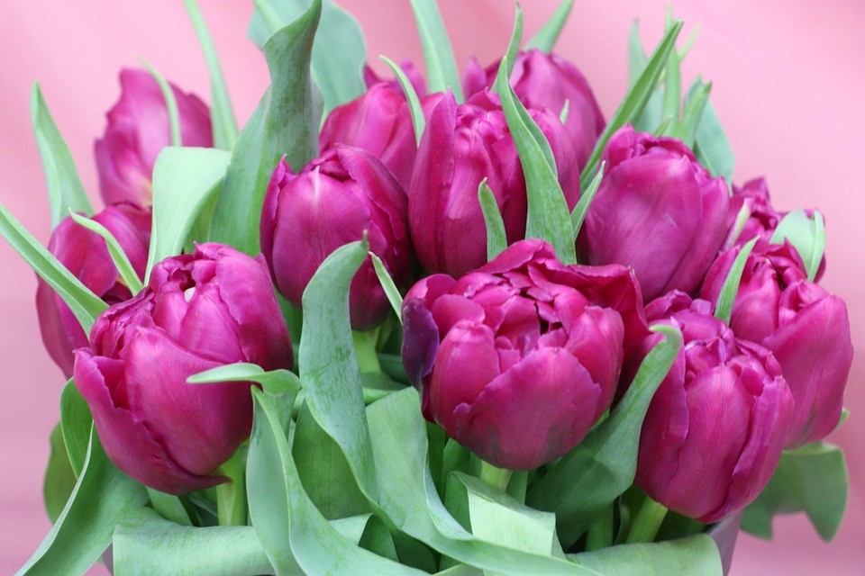 איך להתמודד עם דחפי מין כמשולל זוגיות מאמינה