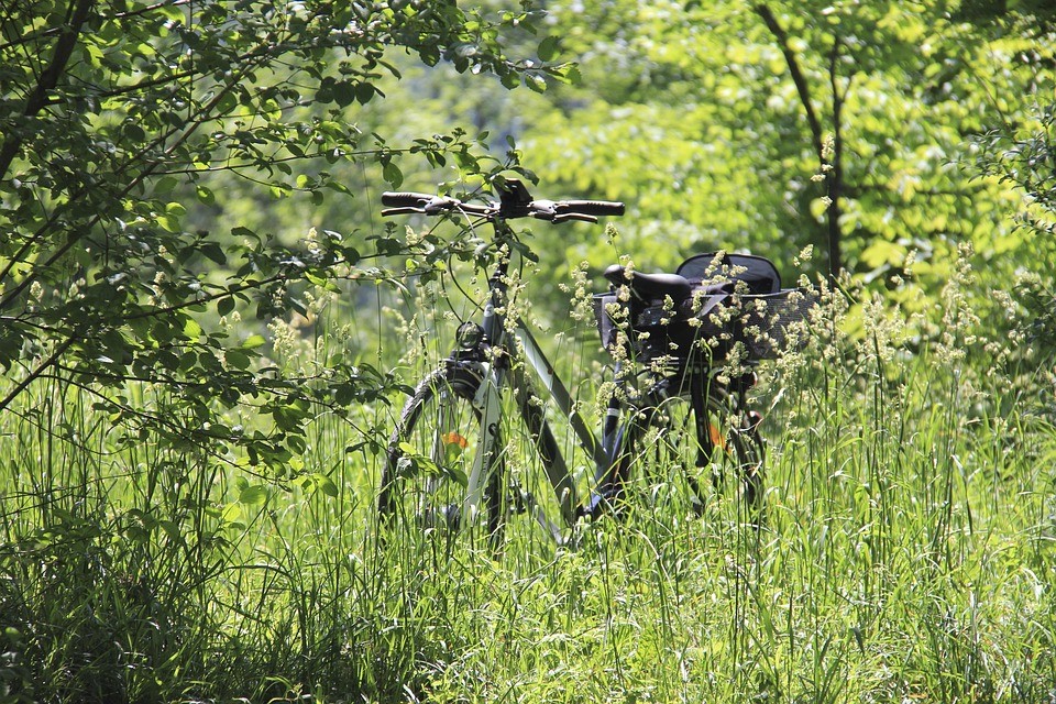 שיניתי את מספר הטלפון שלי שישה פעמים | סיפור אהבה בנצרות